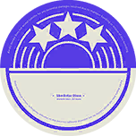 Shockstar Disco