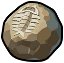 Precious Fossilized Core